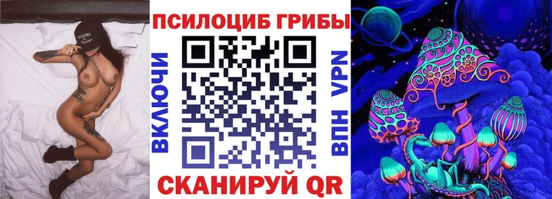 Галлюциногенные грибы Psilocybine cubensis  магазин продажи наркотиков  Жирновск 